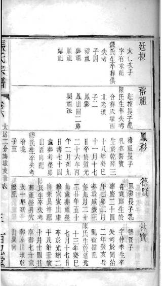 族谱预览