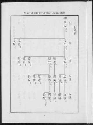 族谱预览