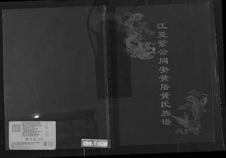 族谱预览
