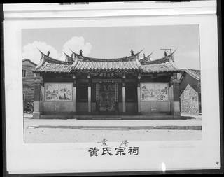 族谱预览