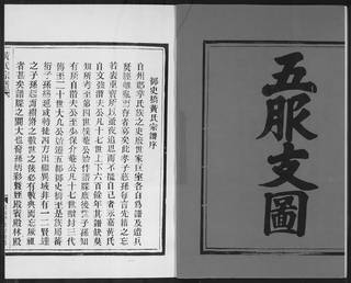 族谱预览