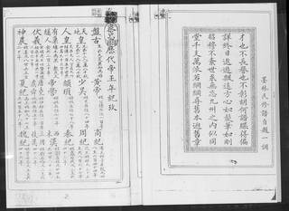 族谱预览