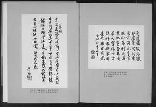 族谱预览