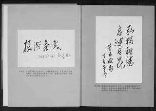 族谱预览