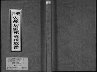 族谱预览