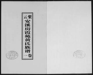 族谱预览