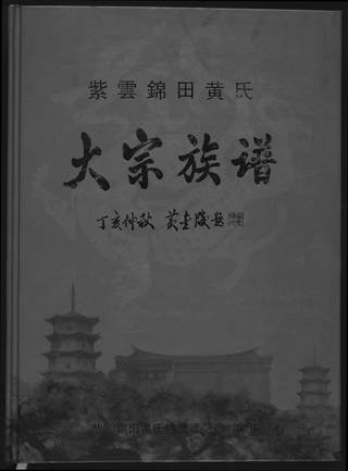 族谱预览