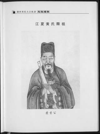 族谱预览