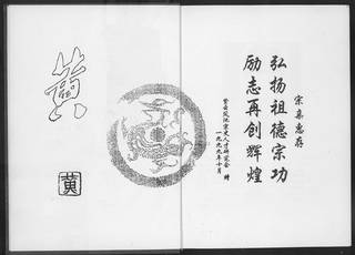 族谱预览