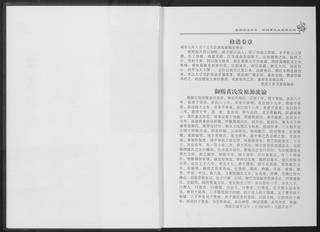 族谱预览