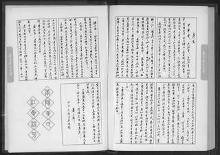 族谱预览
