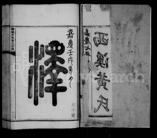 族谱预览