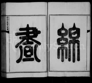 族谱预览