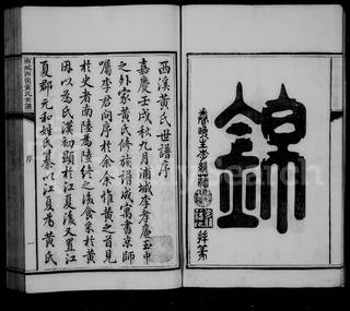 族谱预览