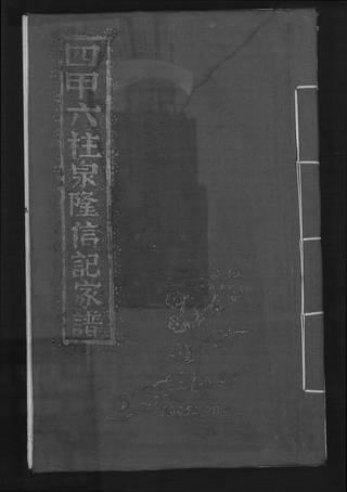 族谱预览