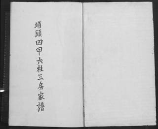 族谱预览
