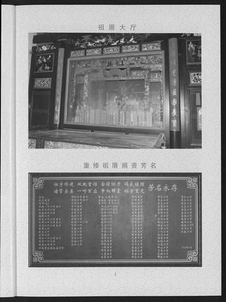 族谱预览
