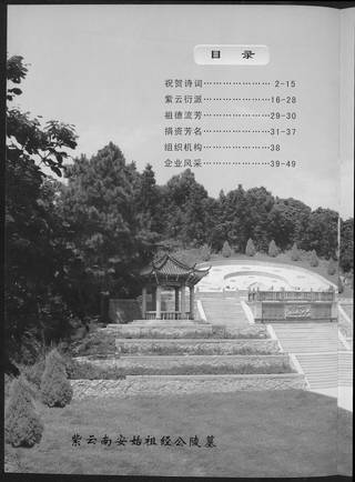 族谱预览