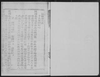 族谱预览