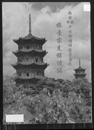 族谱预览