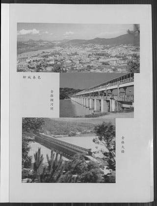 族谱预览