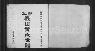 族谱预览