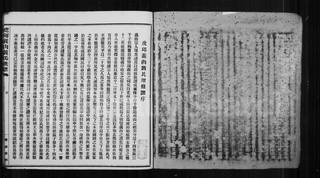 族谱预览