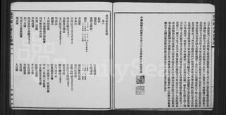 族谱预览