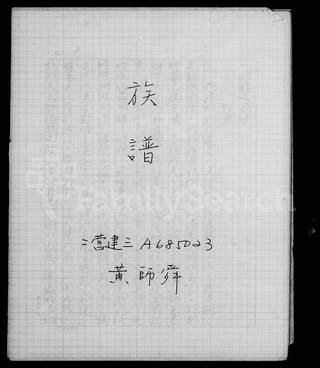 族谱预览