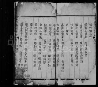 族谱预览