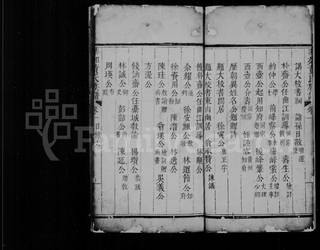 族谱预览