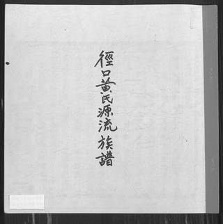 族谱预览