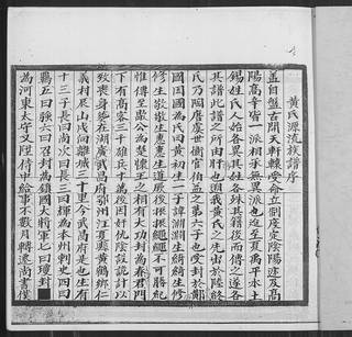 族谱预览