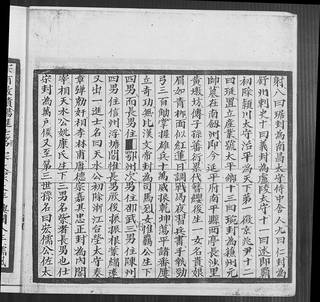 族谱预览