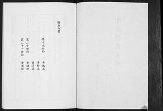 族谱预览