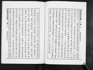 族谱预览