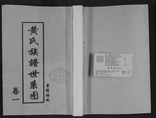 族谱预览
