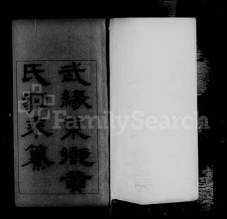 族谱预览