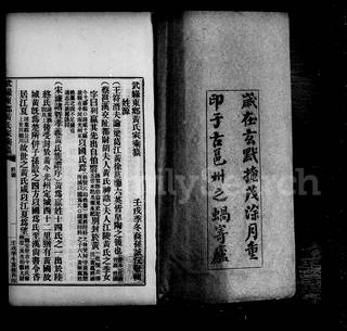 族谱预览
