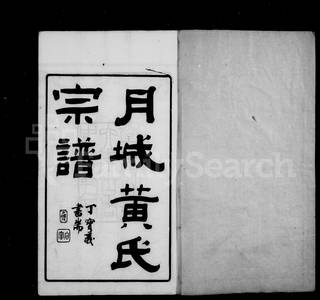 族谱预览
