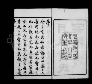 族谱预览