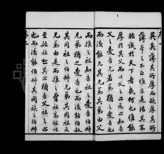 族谱预览
