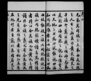 族谱预览