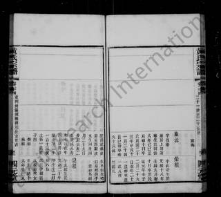 族谱预览