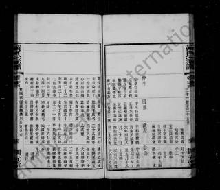 族谱预览