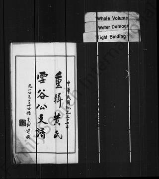 族谱预览