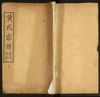族谱预览