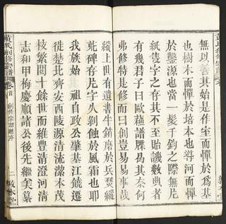族谱预览