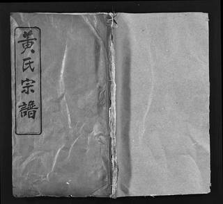 族谱预览