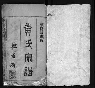 族谱预览